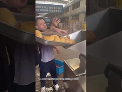 12개의 절단 스테이션 원심 감자칩 슬라이스 절단기, 뛰어난 결과