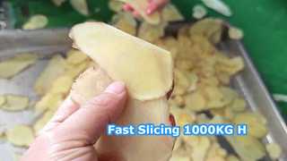 1000KG/H 원심 슬라이서 기계