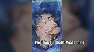 JYX-420 0-45도 절단 각도의 자동 단일 절단 고기 띠톱