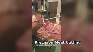 JY310 정육점 밴드 톱 정밀 고기 절단